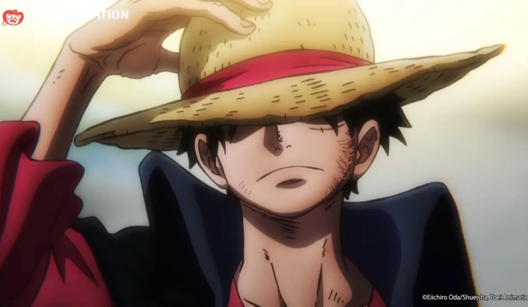 Luffy soulevant son chapeau de paille